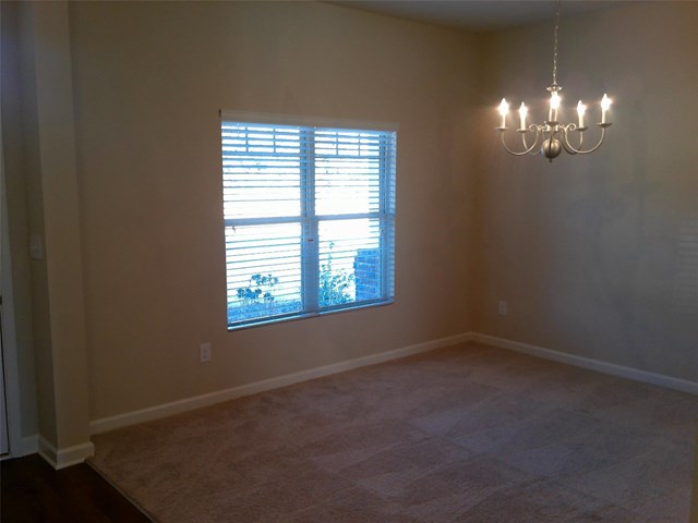299 Hillcrest Ct, Hampton, GA 30228 photo 6