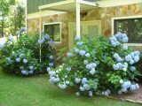 116 Ashling Dr, Lagrange, GA 30240 photo 6