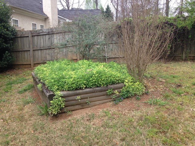 80 Doubles Dr, Covington, GA 30016 photo 7