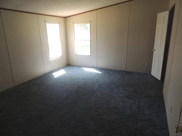 176 Antony Dr, Jackson, GA 30233 photo 6