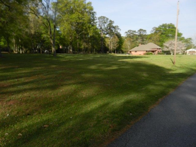 776 Highway 362 And 66 Howard St, Williamson, GA 30292 photo 3