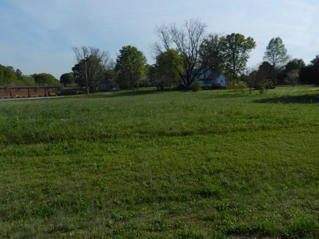 776 Highway 362 And 66 Howard St, Williamson, GA 30292 photo 2