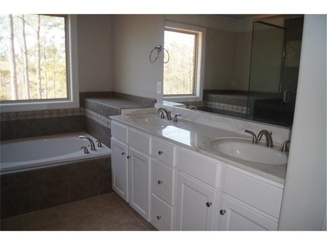 12331 Coldstream Ct, Hampton, GA 30228 photo 15