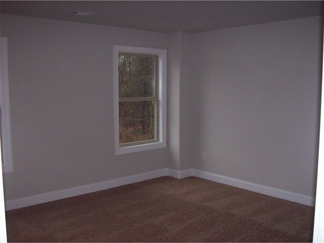 12331 Coldstream Ct, Hampton, GA 30228 photo 22