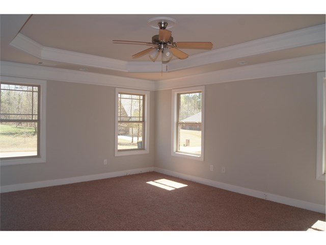 12331 Coldstream Ct, Hampton, GA 30228 photo 12