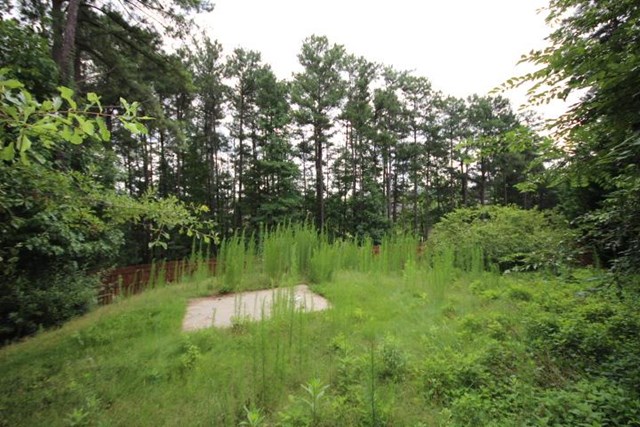965 Pebble Bend Dr, Grayson, GA 30017 photo 9