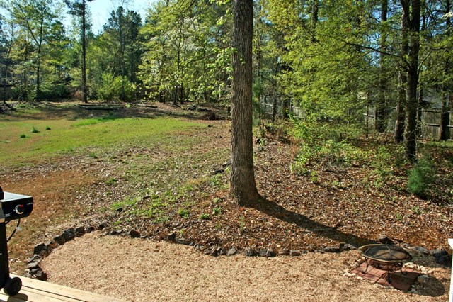 2044 Windfield Dr, Monroe, GA 30655 photo 25