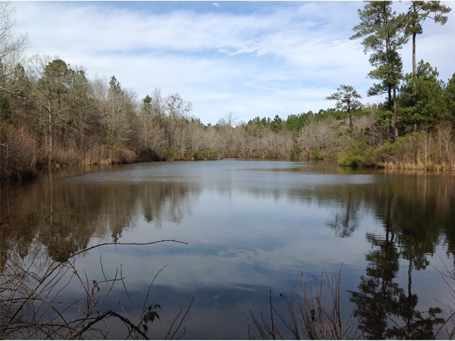 4110 Linton Rd, Sparta, GA 31087 photo 2