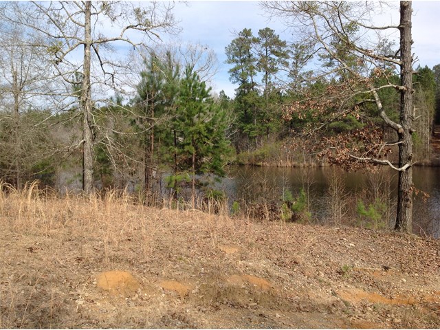 4110 Linton Rd, Sparta, GA 31087 photo 1