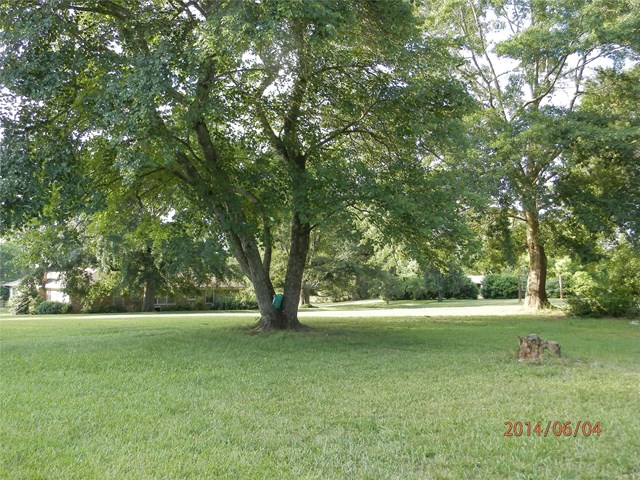 289 Orlando Dr, Toccoa, GA 30577 photo 4