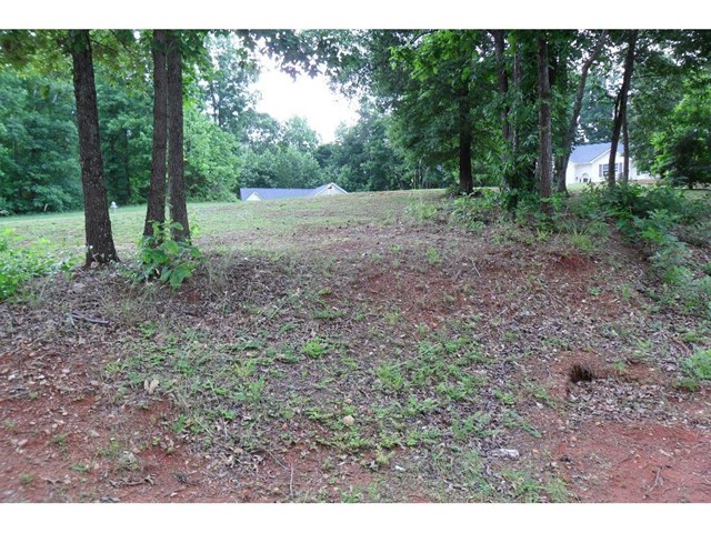 1500 Petree Ct, Monroe, GA 30656 photo 10