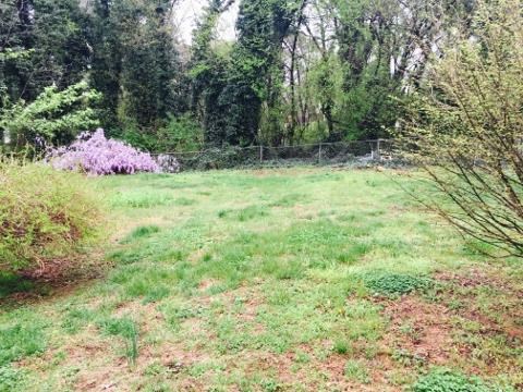 281 Carrollton St, Buchanan, GA 30113 photo 5