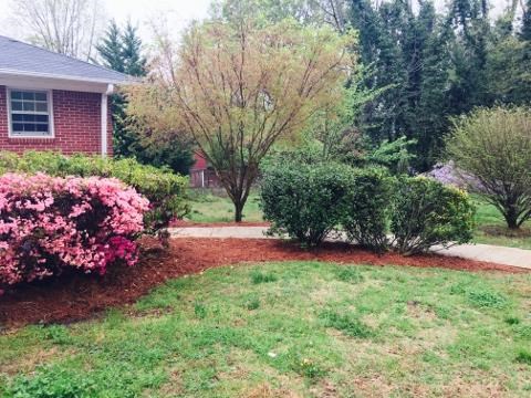 281 Carrollton St, Buchanan, GA 30113 photo 3