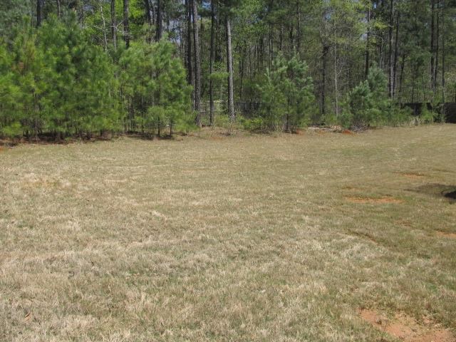 190 Providence Dr, Covington, GA 30016 photo 24