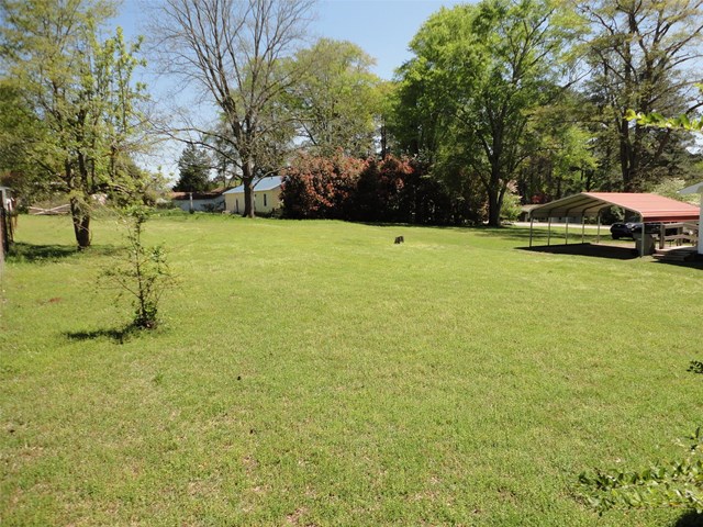119 S Page St, Lagrange, GA 30241 photo 19