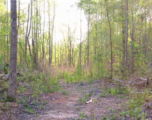 1191 Harbins Rd, Dacula, GA 30019 photo 24