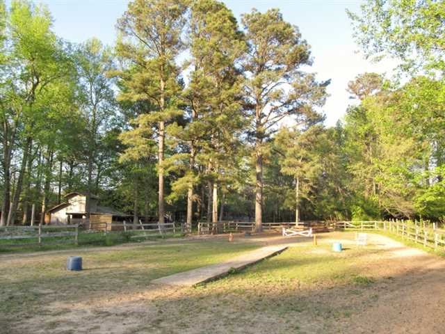 1191 Harbins Rd, Dacula, GA 30019 photo 17