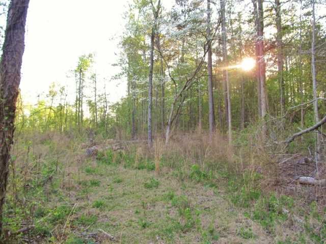 1191 Harbins Rd, Dacula, GA 30019 photo 23