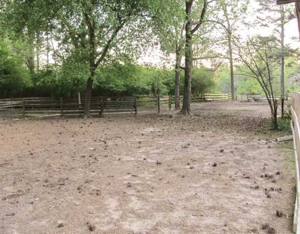 1191 Harbins Rd, Dacula, GA 30019 photo 19