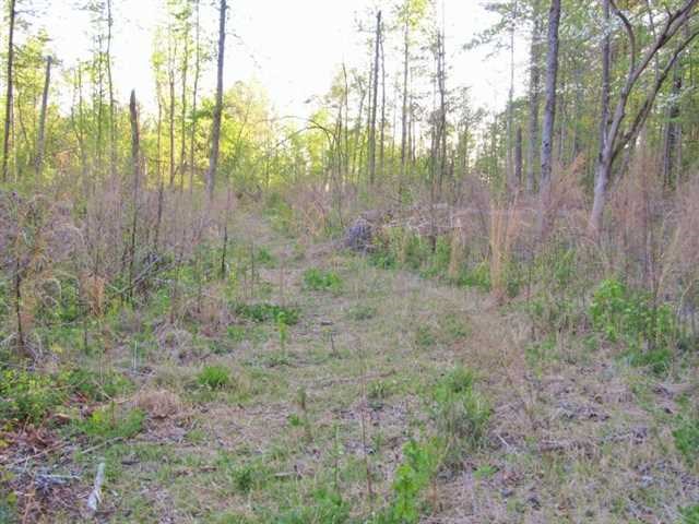 1191 Harbins Rd, Dacula, GA 30019 photo 25