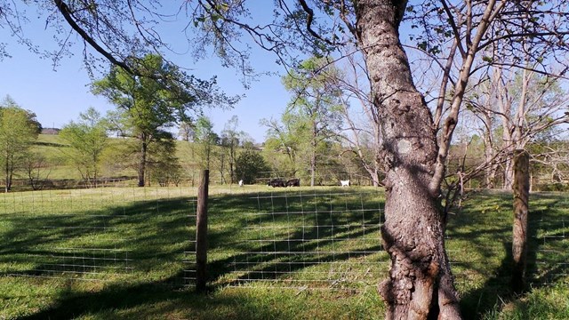 641 Salem Rd, Lagrange, GA 30240 photo 24