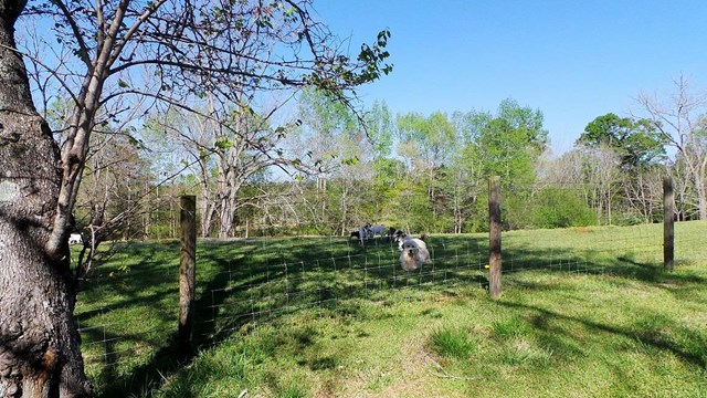 641 Salem Rd, Lagrange, GA 30240 photo 23