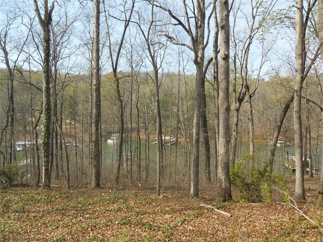 6785 Thunder Trl, Gainesville, GA 30506 photo 7