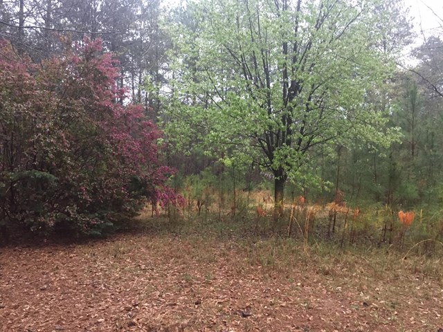 588 Patillo Rd, Lagrange, GA 30241 photo 3