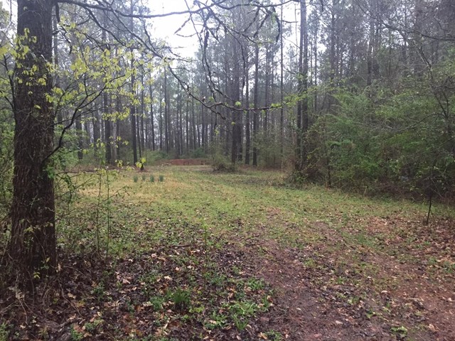 588 Patillo Rd, Lagrange, GA 30241 photo 1