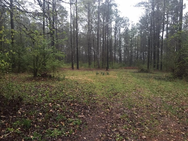 588 Patillo Rd, Lagrange, GA 30241 photo 2