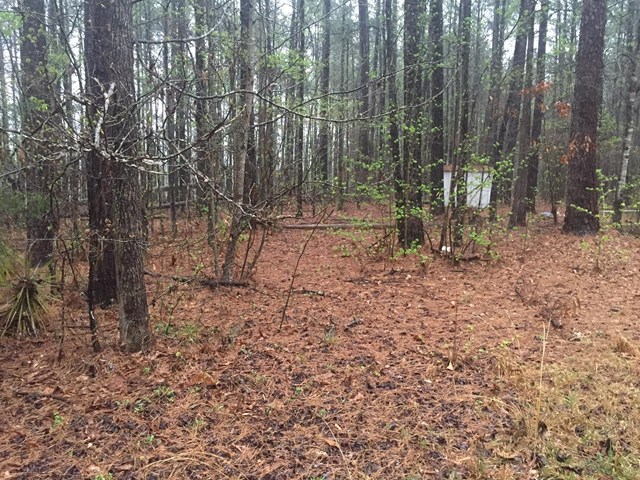 588 Patillo Rd, Lagrange, GA 30241 photo 5