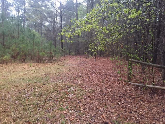 588 Patillo Rd, Lagrange, GA 30241 photo 4
