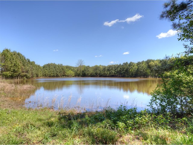 335 Fieldview Ln, Covington, GA 30016 photo 21