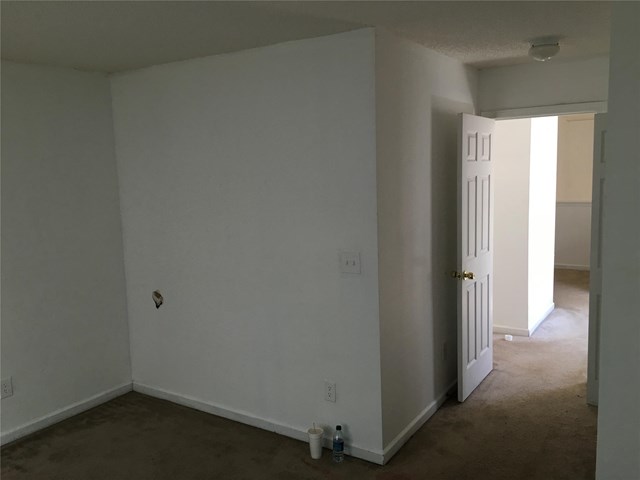 2341 Brianna Dr, Hampton, GA 30228 photo 10