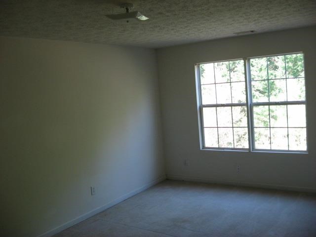 206 Bluff Ct, Jackson, GA 30233 photo 6