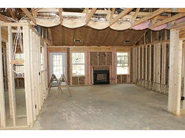 60 Silver Pine Ct, Carrollton, GA 30116 photo 4