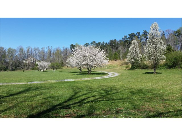 2190 Chase Rd, Cornelia, GA 30531 photo 3