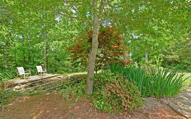 2190 Chase Rd, Cornelia, GA 30531 photo 21