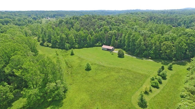 2190 Chase Rd, Cornelia, GA 30531 photo 7