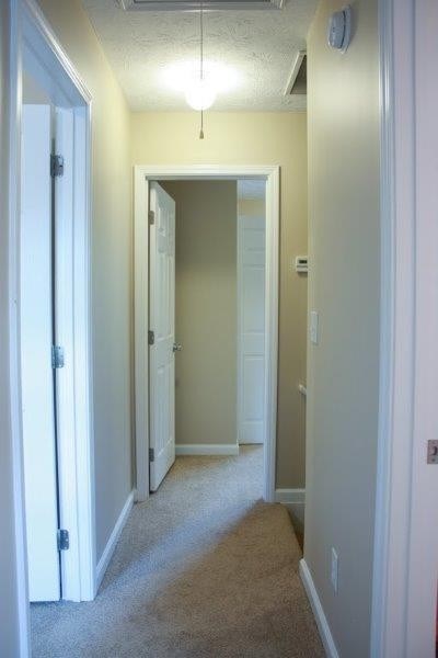 201 Vineyard Dr, Athens, GA 30607 photo 7