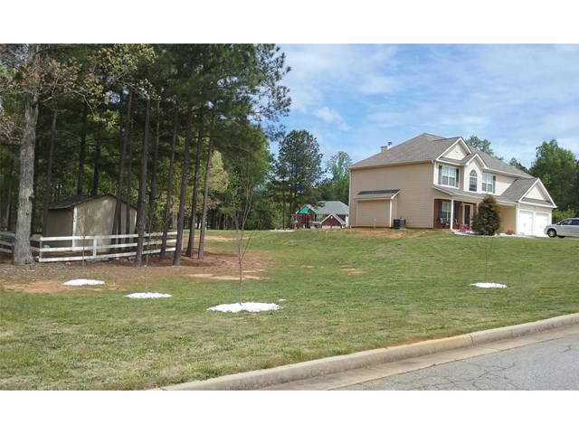 948 Calvo Ct, Hampton, GA 30228 photo 11