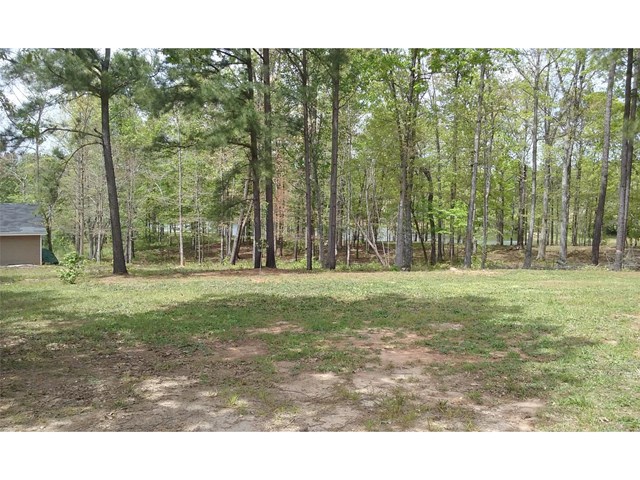 948 Calvo Ct, Hampton, GA 30228 photo 8