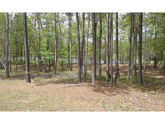 948 Calvo Ct, Hampton, GA 30228 photo 7