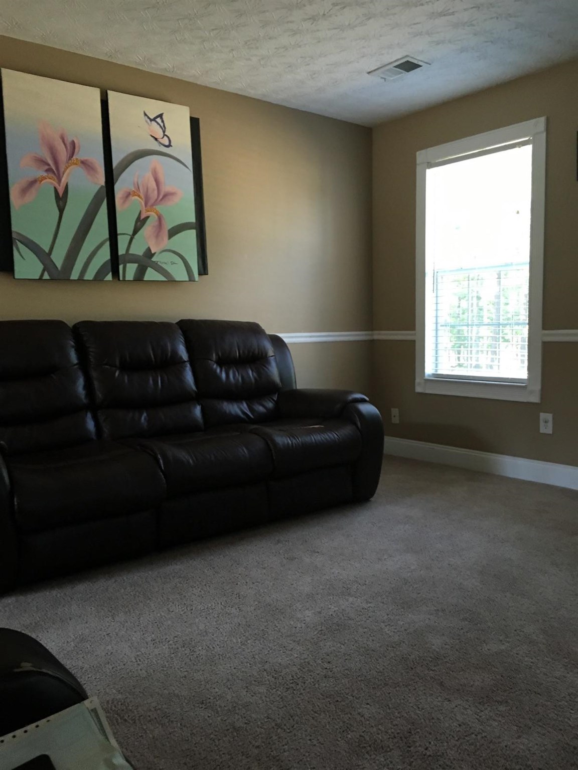948 Calvo Ct, Hampton, GA 30228 photo 15