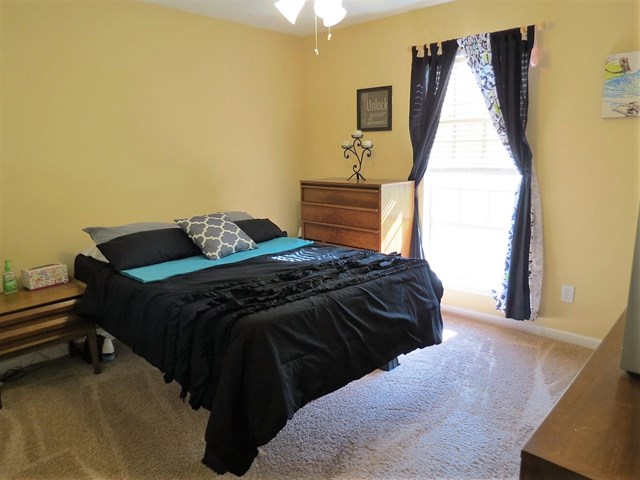 421 Misty Brook Ct, Hampton, GA 30228 photo 10