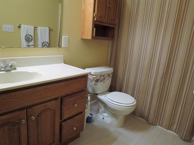 421 Misty Brook Ct, Hampton, GA 30228 photo 17