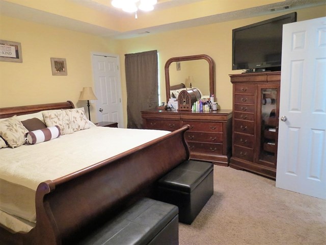 421 Misty Brook Ct, Hampton, GA 30228 photo 9