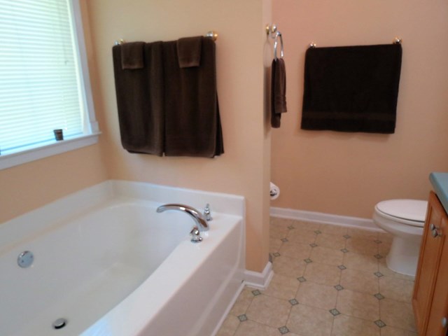 421 Misty Brook Ct, Hampton, GA 30228 photo 13