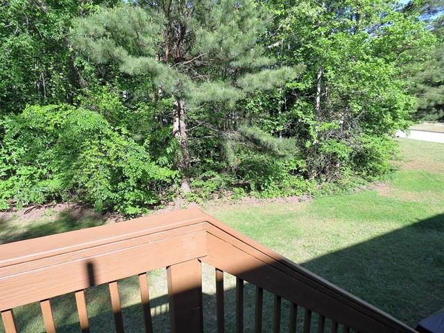 421 Misty Brook Ct, Hampton, GA 30228 photo 22