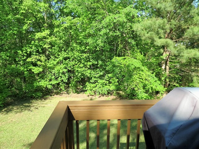 421 Misty Brook Ct, Hampton, GA 30228 photo 21